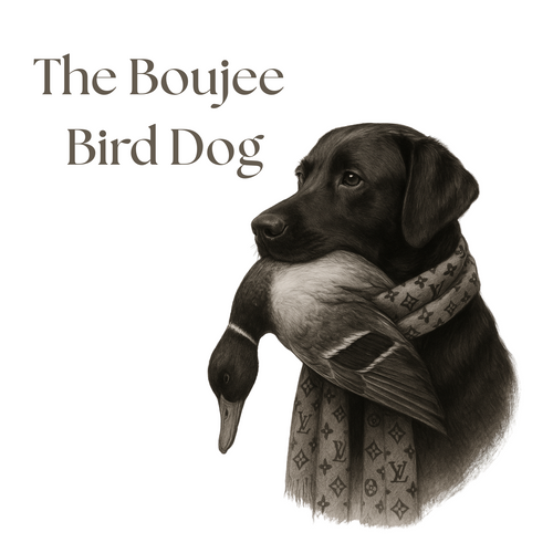 The Boujee Bird Dog